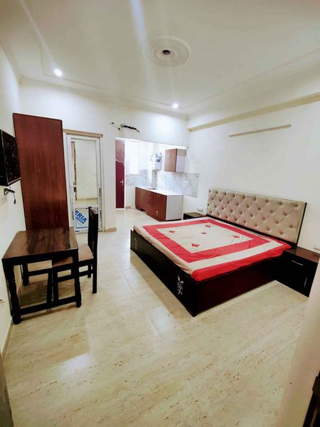 1RK · Furnished · Apartment