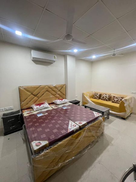 1RK · Furnished · Apartment