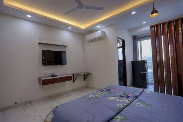 1RK · Furnished · Apartment