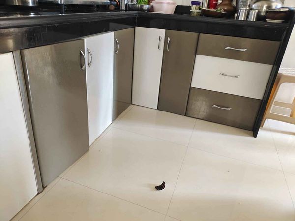 2BHK · Furnished · Apartment
