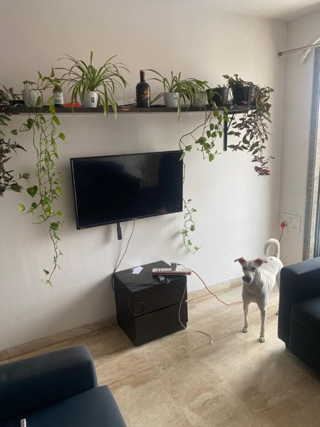 4BHK · Furnished · Apartment