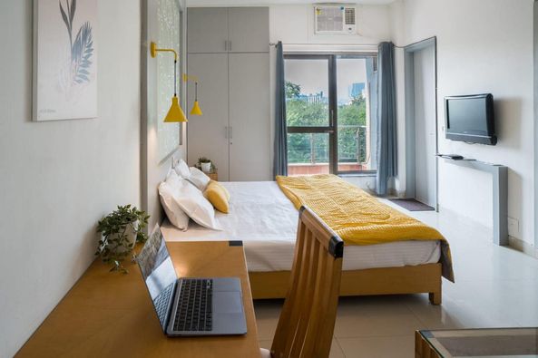 1RK · Furnished · Apartment