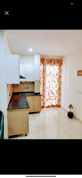 1BHK · Furnished · Apartment