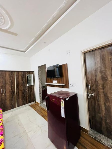1RK · Furnished · Apartment