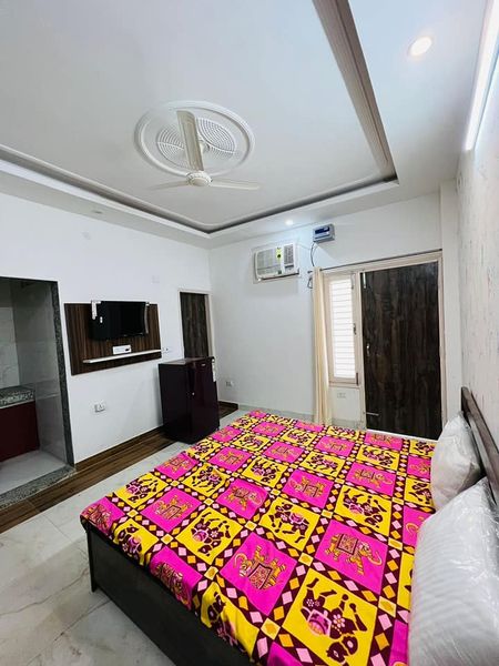 1RK · Furnished · Apartment