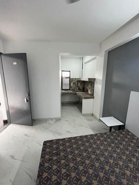 1RK · Furnished · Apartment