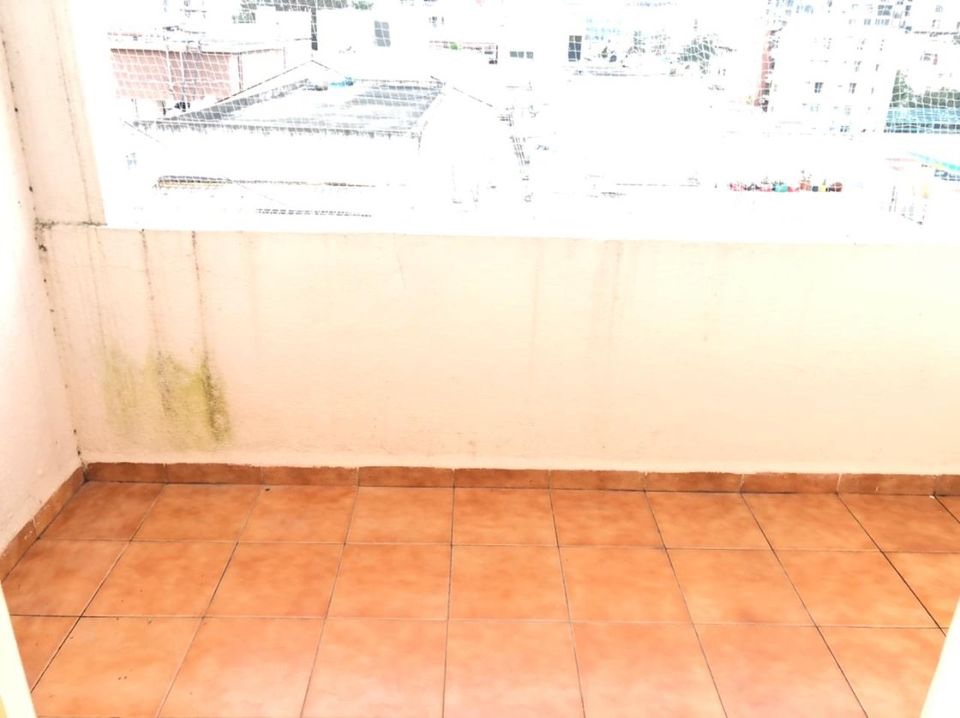 Single Room · Furnished · Apartment