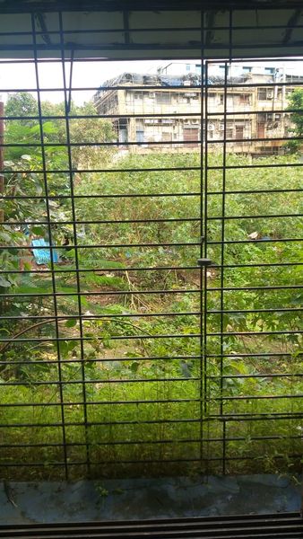 2BHK · Furnished · Apartment