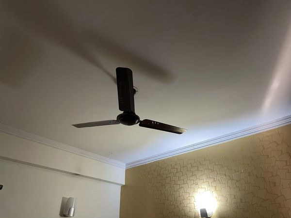 3BHK · Furnished · Apartment