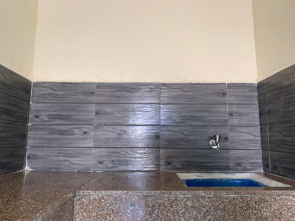 1RK · Furnished · Apartment