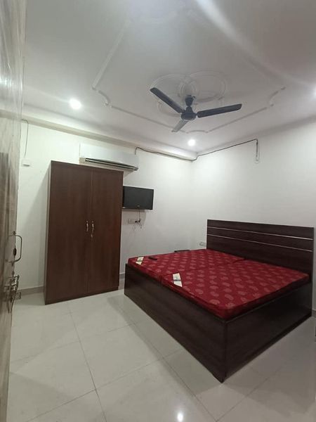 1RK · Furnished · Apartment