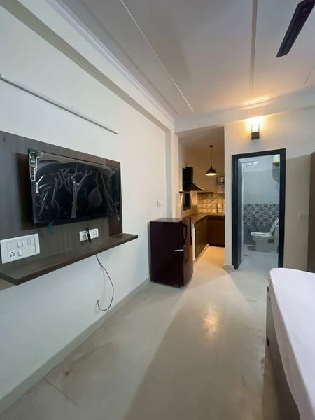 1RK · Furnished · Apartment