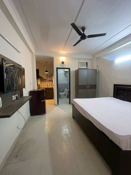 1RK · Furnished · Apartment