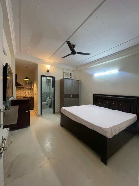 1RK · Furnished · Apartment