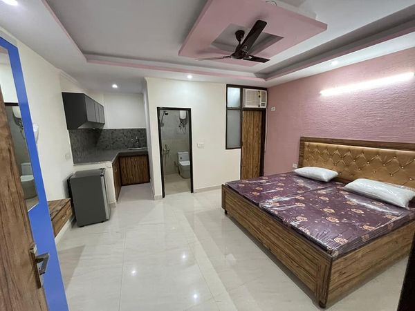 1RK · Furnished · Apartment