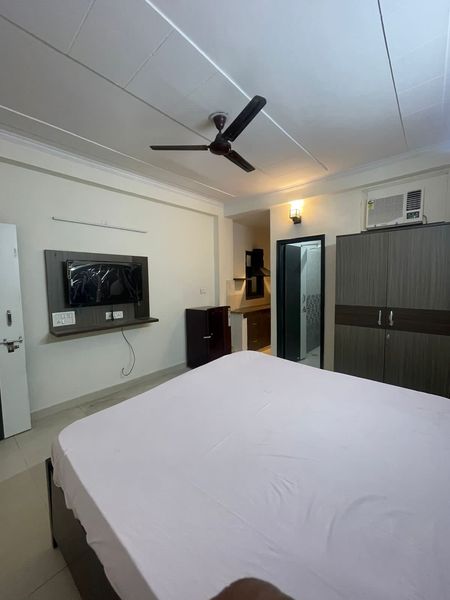 1RK · Furnished · Apartment