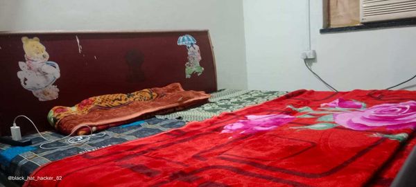 2BHK · Furnished · Apartment
