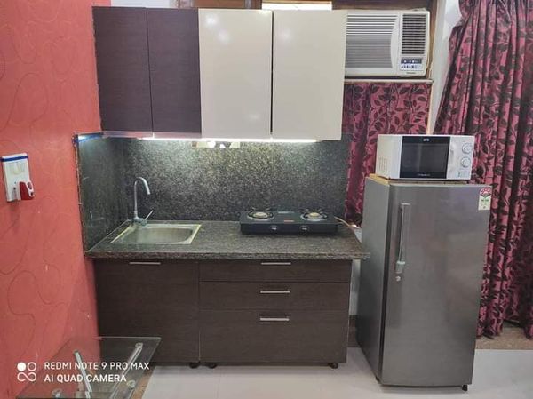 1RK · Furnished · Apartment