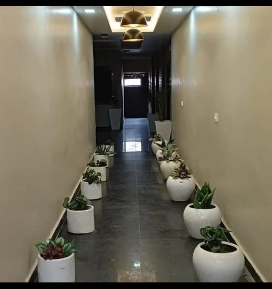 Single Room · Furnished · Apartment