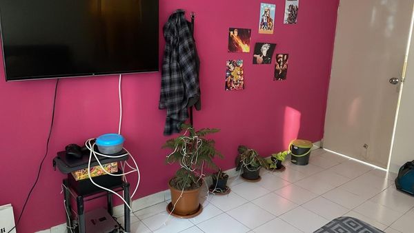 3BHK · Furnished · Apartment
