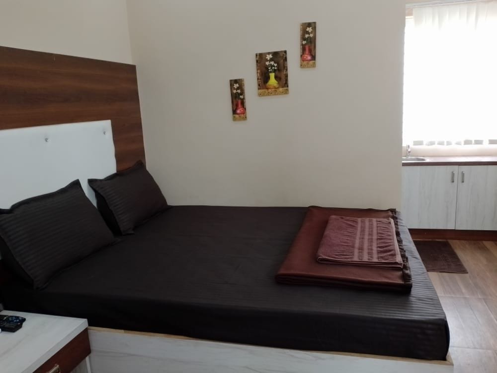 1RK · Furnished · Apartment