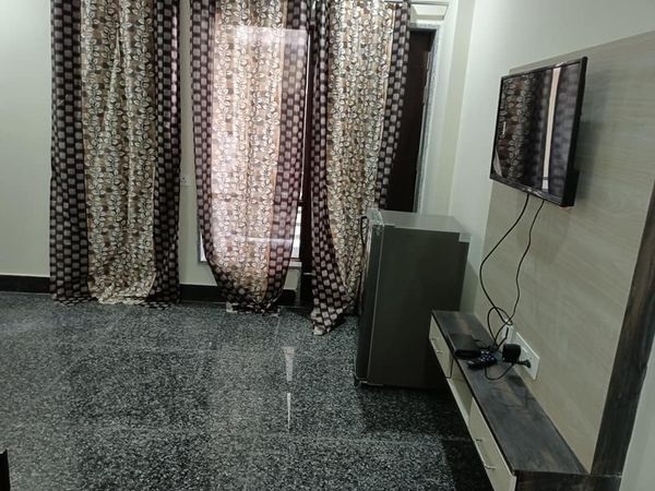 1RK · Furnished · Apartment
