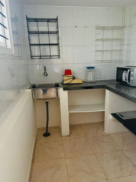 1RK · Furnished · Apartment