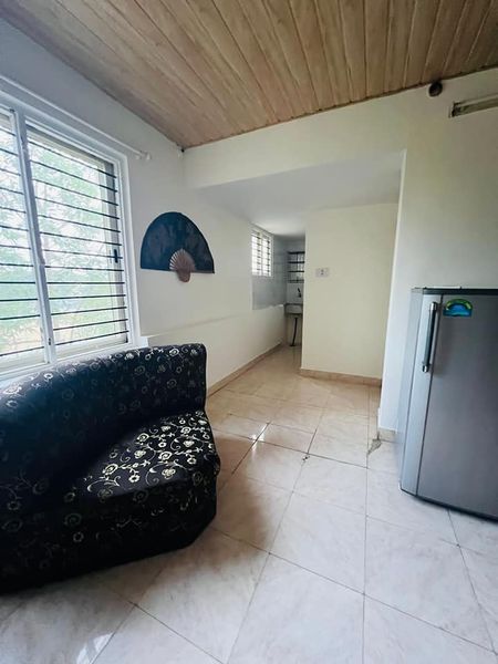 1RK · Furnished · Apartment