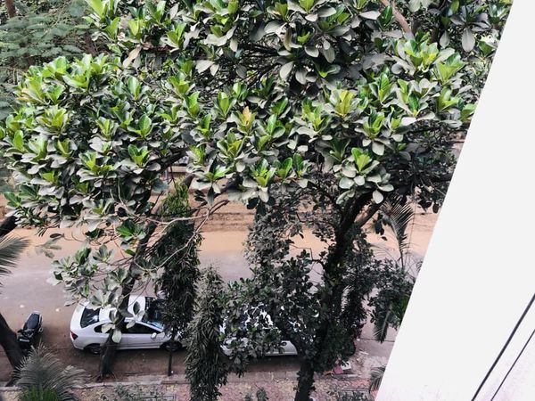 2BHK · Furnished · Apartment