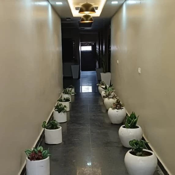 1RK · Furnished · Apartment