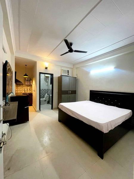 1RK · Furnished · Apartment