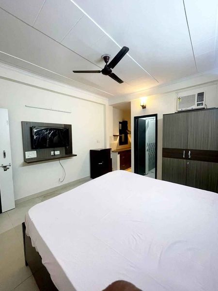 1RK · Furnished · Apartment