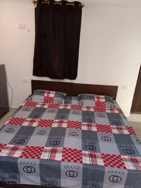 1RK · Furnished · Apartment