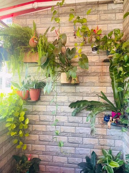3BHK · Furnished · Apartment