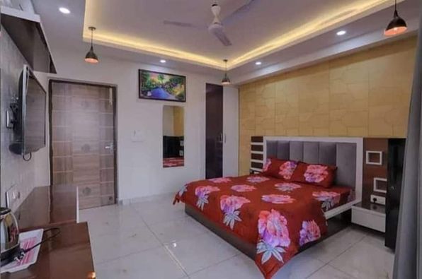 1RK · Furnished · Apartment