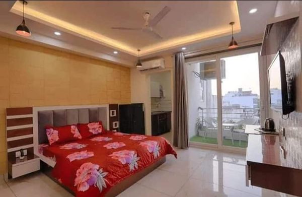 1RK · Furnished · Apartment