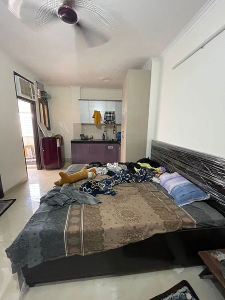 1RK · Furnished · Apartment