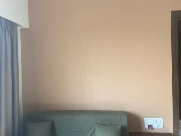 1RK · Furnished · Apartment