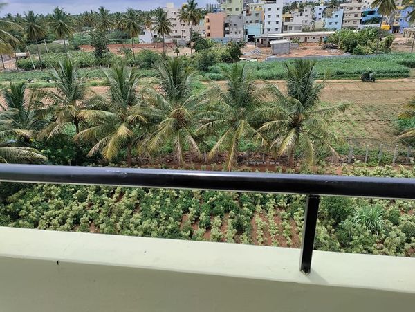 1BHK · Furnished · Apartment