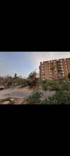 3BHK · Furnished · Apartment