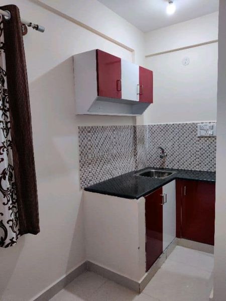 1RK · Furnished · Apartment