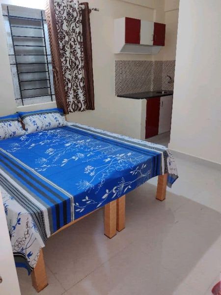 1RK · Furnished · Apartment