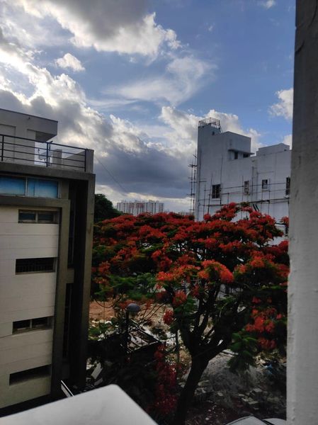 4BHK · Semi Furnished · Apartment