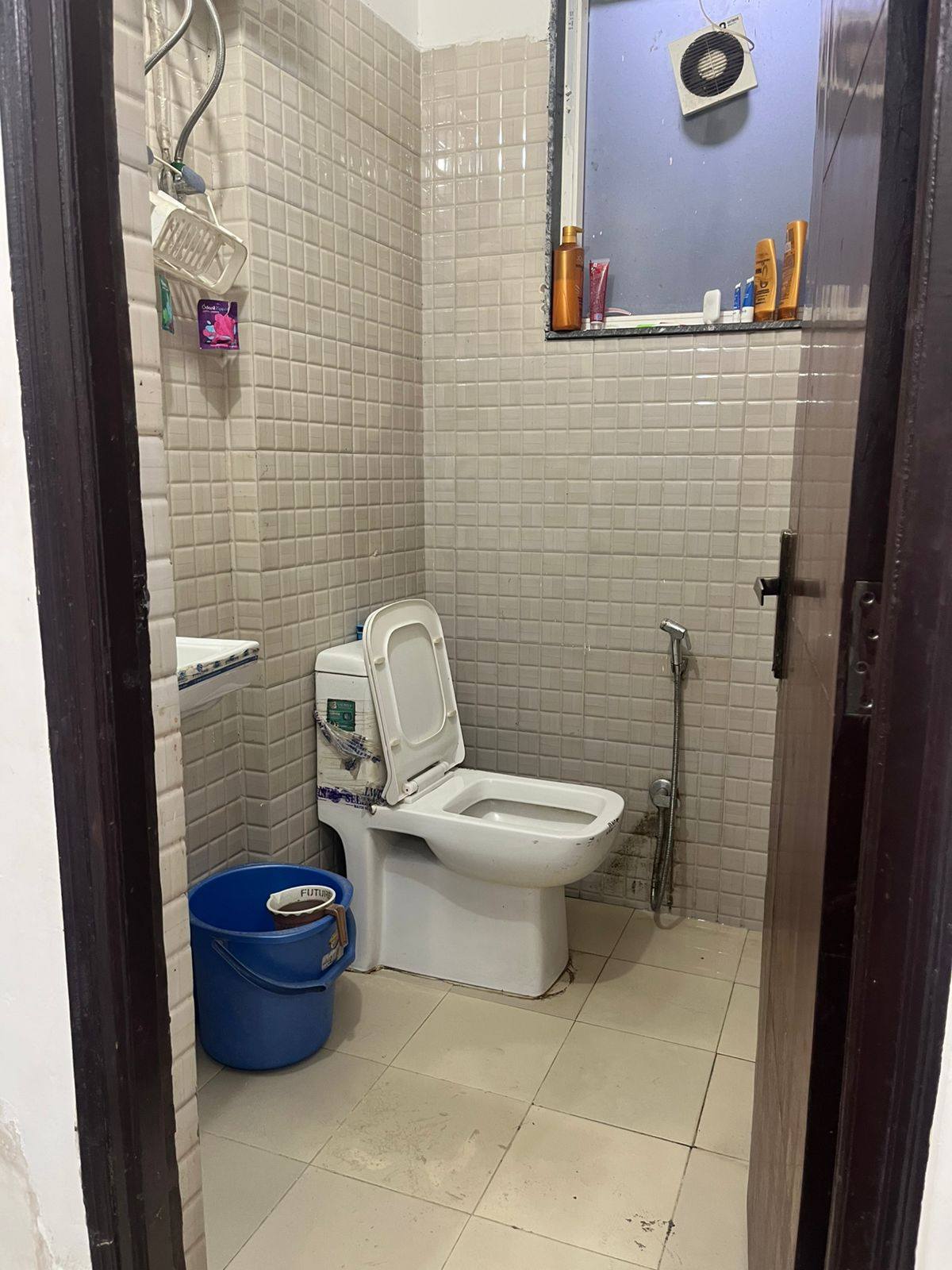1RK · Furnished · Apartment