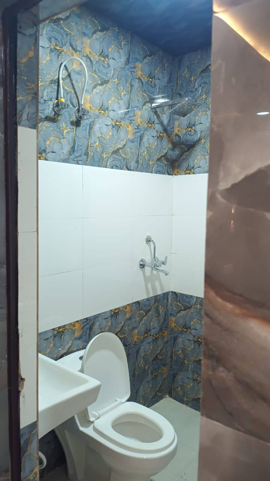 1RK · Furnished · Apartment