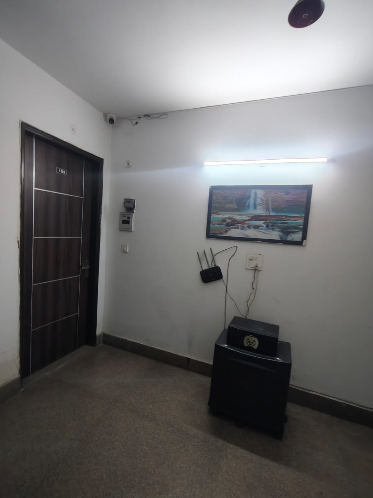 1RK · Furnished · Apartment