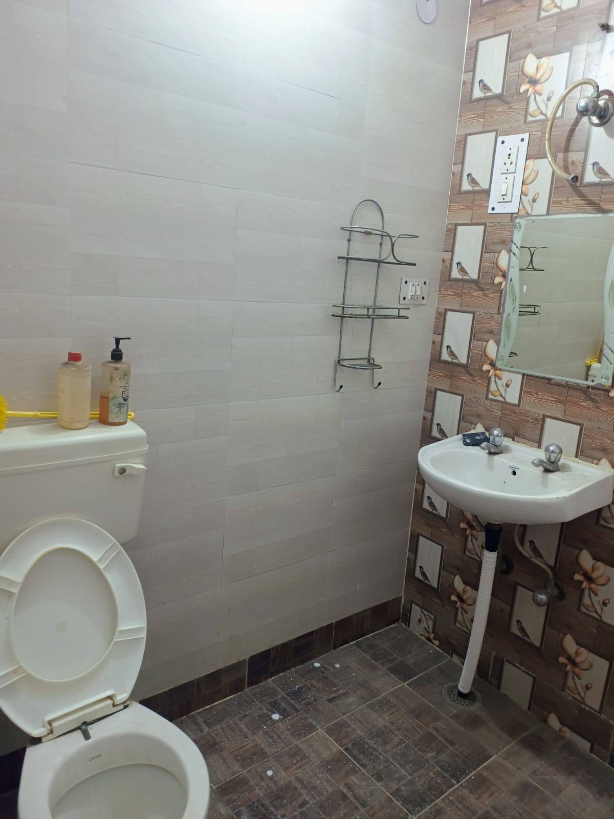 1BHK · Semi Furnished · Apartment