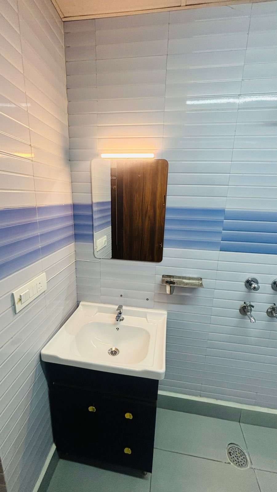 1RK · Furnished · Apartment