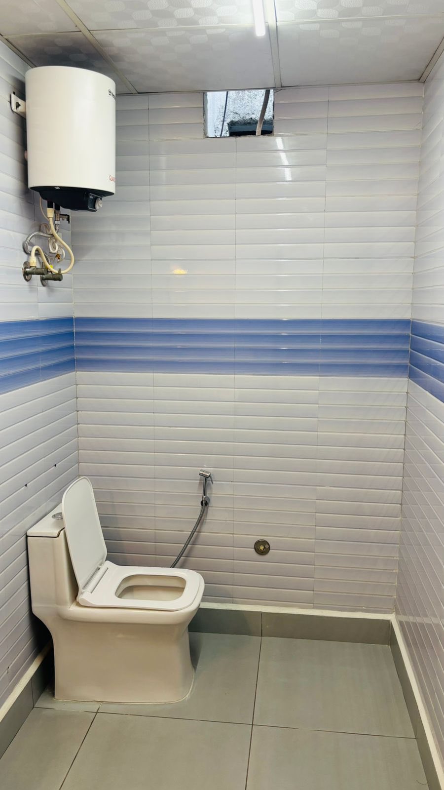 1RK · Furnished · Apartment