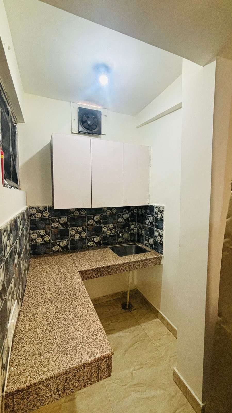 1RK · Furnished · Apartment